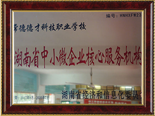 湖南省中小微企业核心服务机构