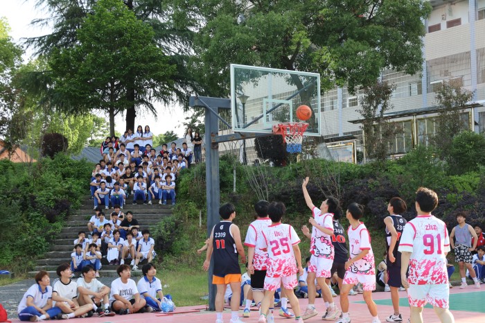 常德新德才职业学校,常德新德才,常德招生就业,电子商务专业学校,专业学校报考哪里好